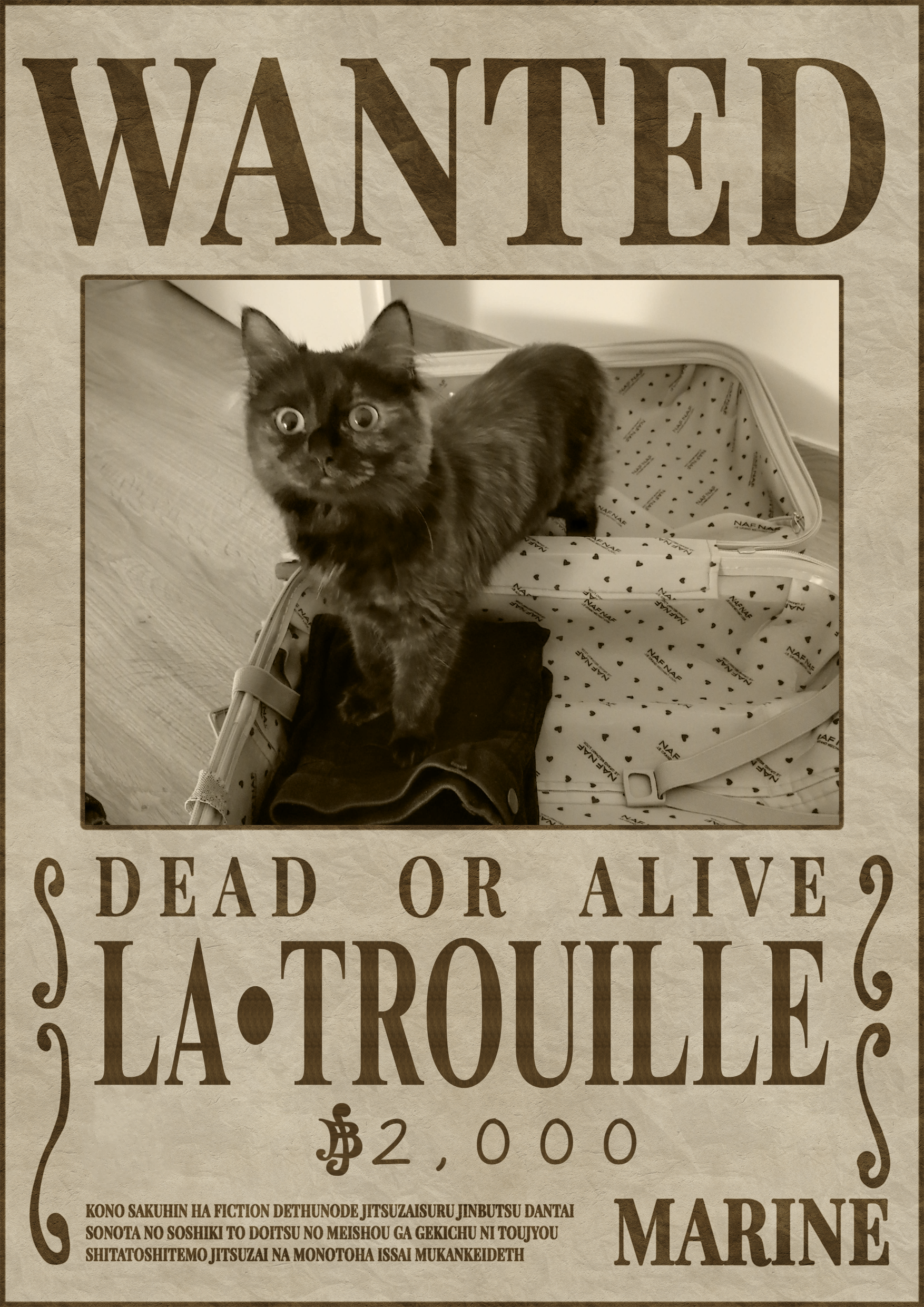 One Piece wanted poster of Trouille